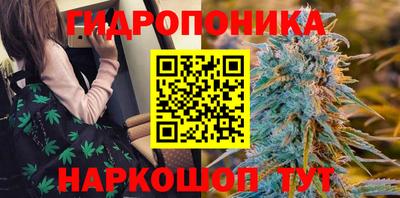 каннабис Новозыбков