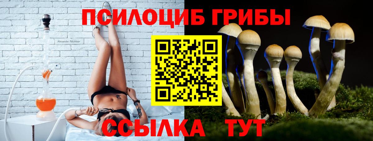 Псилоцибиновые грибы MAGIC MUSHROOMS Верхняя Пышма